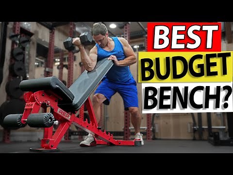 Rep AB-3000 2.0 Adjustable Bench Review - The Best Bench Under $350!