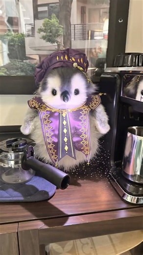 Baby Penguin Becomes a Grand Wizard