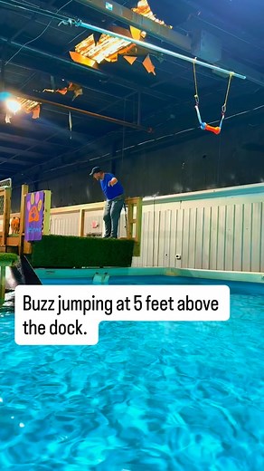 #huntsvillealabama #huntsvilleal #rocketcity #athensalabama #decaturalabama #huntsvilledogs #rocketcitydogs #huntsvegas #northalabama #dogsofhuntsville #birminghamal #huntsvilledogstuff ##florenceal #chattanooga | Dog Splash