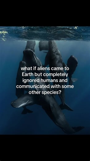 Encuentros Alienígenas: ¿Qué Pasaría si Ignoran a la Humanidad?