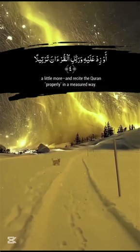 Beautiful Recitation of the Holy Quran | Peaceful & Heart Touching Tilawat #quran #qurantilawat