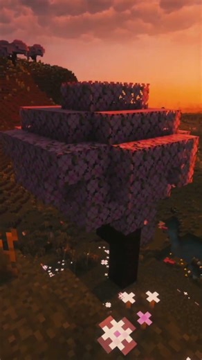 Minecraft Sunset is Beautiful 🌅