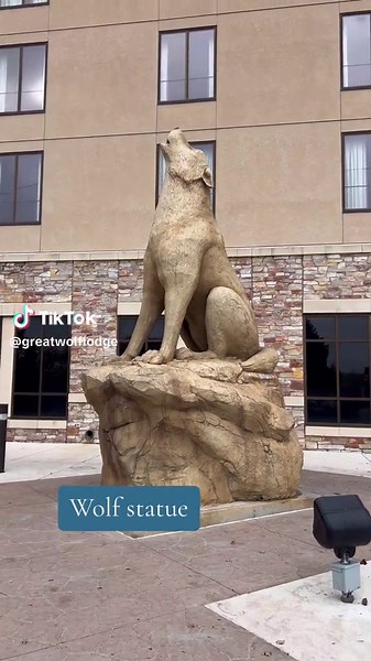 Great Wolf Lodge on TikTok