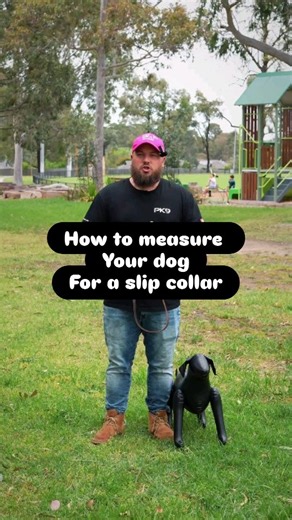 Not sure what size slip collar to get or how to measure your for the right size slip collar? Well now you know, hopefully........ | Chris Loverseed