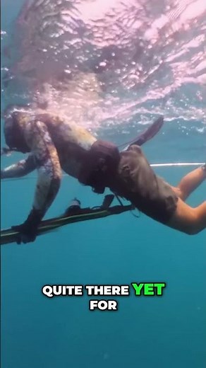 Underwater 360 Camera Test: AMAZING Footage!