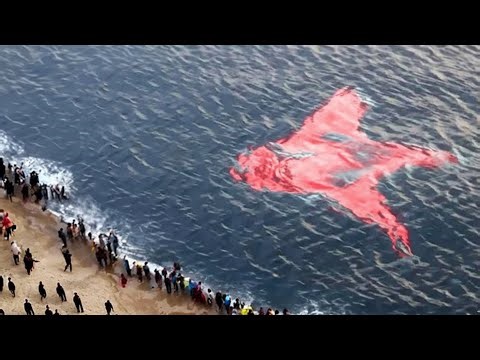 Incredible Moments Caught on Camera | Rare Real-Life Events You Won’t Forget