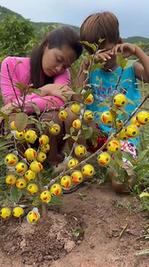 52K views · 410 reactions | Survival Skills: SMART idea and USEFUL with single mom in forest #bushcraft #camping #outdoors #idea | Tree Flower | Facebook