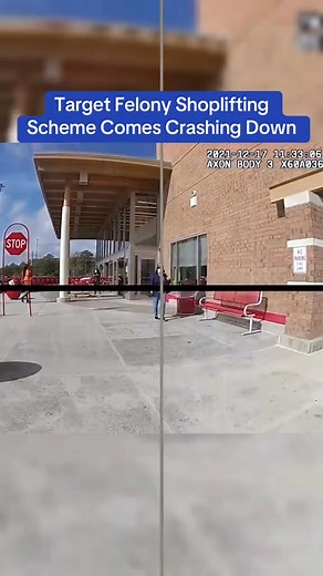 694K views · 5.2K reactions | Target Felony Shoplifting Scheme Comes Crashing Down #cops #copsoftiktok | Cops.fbi0 | Facebook