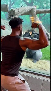 13K views · 80 reactions | If you weren't at the primate enclosure...