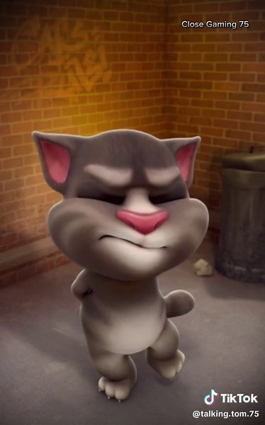 Talking Tom Cat Cartoon Bangla | Funny Cat Cartoon Videos