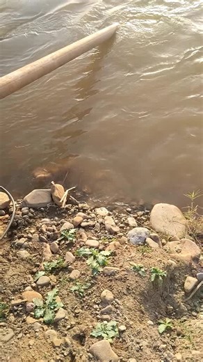 Understanding Water Pumping Systems by a River