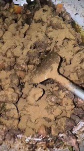 18K views · 151 reactions | Allez on attaque la deuxième partie de la journée plat de ce soir en préparation massalé foie et cuisse de poulet désossé version petit carie 06 93 60 63 14 pour passer vos commandes | KSk snack Karene et Shiva | Facebook