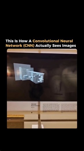 How A Convolutional Neural Network Works