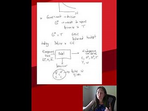 Competitive Equilibrium Definition (#5)