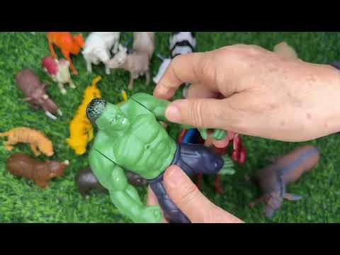 Asmer Animal World 🐯