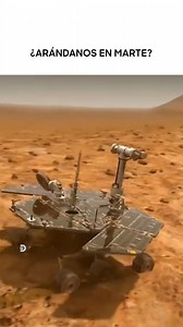 No hay vida en Marte, pero sí arándanos. 🚀🫐 Un poco extraño, ¿no? 🤔 Toda la explicación está en #SecretosDeLaNasa 🔭✨ | Discovery Latinoamérica