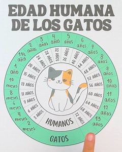 1.7M views · 8.5K reactions | ✅Edad humana de los gatos✅ | Juegos Matemáticos | Facebook