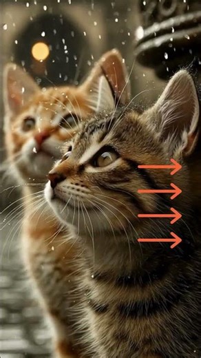 little cute cat on raining days #animalintelligent #cat #animals #shorts | AI Animation