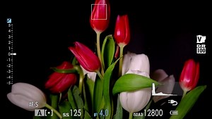 A Stills Review of the Fujifilm X-E4 Mirrorless Camera