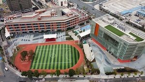 Premium Synthetic Football Turf with 6-8 Years Durability