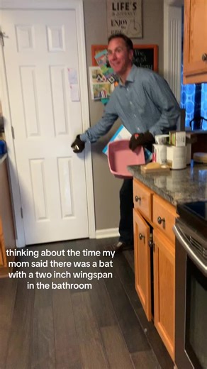 Funny Bathroom Bat Story Revealed