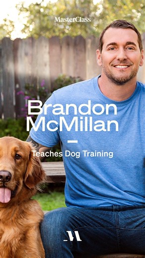 Learn the 7 Common Commands you’ll use every day with your dog: sit, stay, down, come, off, heel, and no. | MasterClass