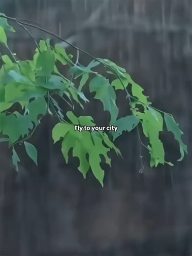 Phoon's trauma resurfaced!!🥲 #bevertonliew #wabisabistudio #foreveryouseriess2