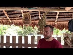 The Bullet Ant Glove