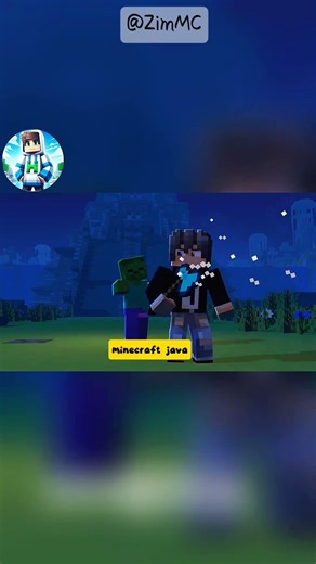 tốc độ tay của minecraft java và bedrock kiểu #minecraft #minecraftmemes