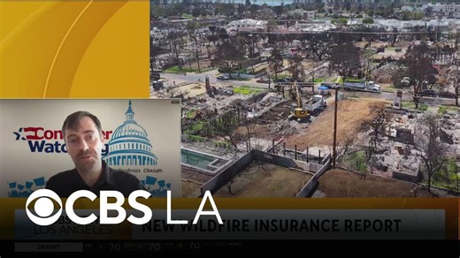 Local consumer group report investigated the insurance industry’s handling of the LA wildfires
