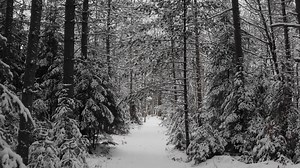 166 reactions · 11 shares | Vilas County, WI In today’s episode of...