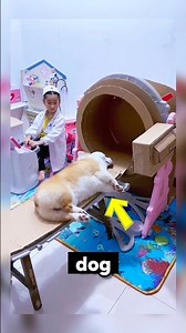 Dog Pretends to Be Sick Every Day to Help His Little Owner Become a Doctor ❤️🐶#funniestvideo#shorts