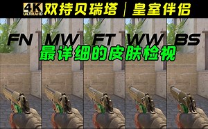 【CS2】起源2全网首发！双持贝瑞塔 | 皇室伴侣 全部磨损游戏中检视 |崭新 | 略磨 | 久经 | 破损| 战痕