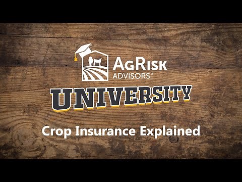 Crop Insurance Explained