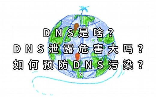 DNS是什么？DNS泄露危害多大？如何解决呢？