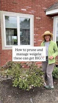 How To Prune And Manage Weigela