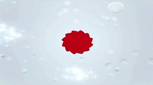 It's another exciting Episode! DON'T MISS cars! Fashion! Music! and so much more. T NATION IS AMBITION MISSION. ARE YOU? Ambition Mission Ug | NTVTNation