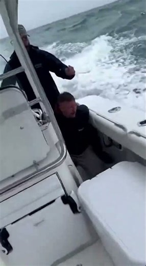 Terrified Dolphin Leaps Into Boat to Escape Great White Shark