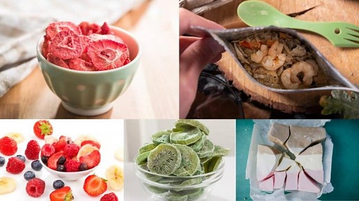 A Complete List of Foods That Can & Cannot be Freeze-Dried – EZ-Prepping