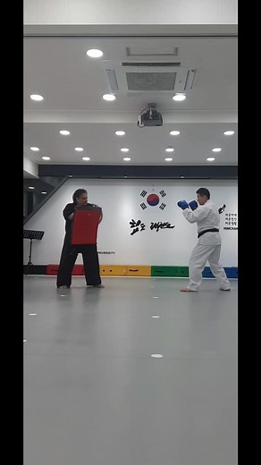 #WCTU #combative #taekwondo | Master Jeong's Taekwondo
