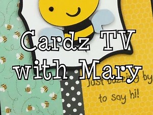 CARDZ TV "JUST BUZZING BY..."