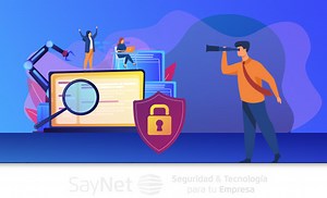 ¿Qué es un análisis de vulnerabilidades? - SAYNET