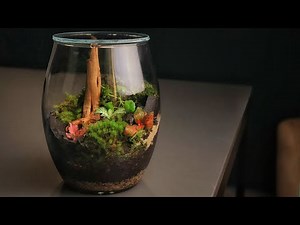 Make a Beautiful Moss Terrarium | Easy Home DIY | Relax, Learn & Enjoy Your Mini Garden