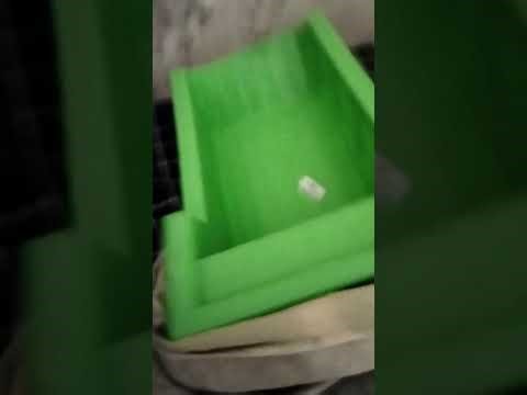 SCP 1010 fase 2 #scpfoundation