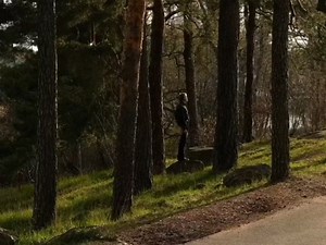 wish list: • peace of mind. | Mad Spirit