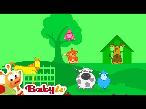 My Face: Theme Intro (BabyTV Blue Birds: Crying 🐦‍⬛😭😂🤣)