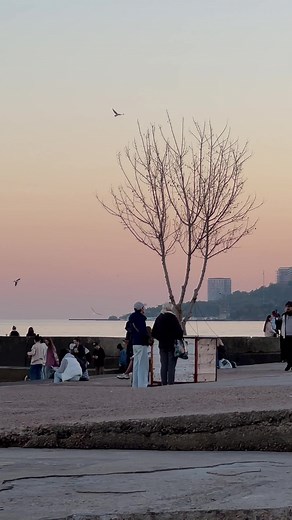 Valerievna_ya__ на TikTok