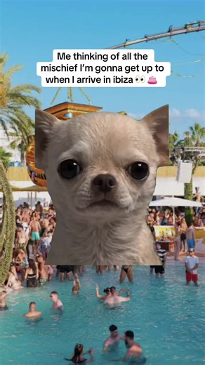 What happens in ibiza stays in ibiza, get on us for your ibiza essentials 🍭 🥳 #ibiza #obeach #oceanbeach #ibizaparty