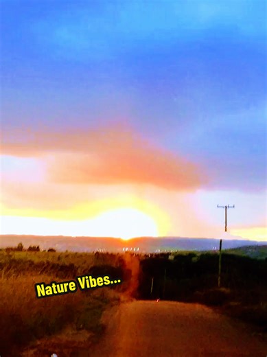 Explore Beautiful Forest Aesthetics in Nature Photography