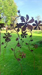 8.6K views · 125 reactions | QUINTESSENCE on Reels | Facebook